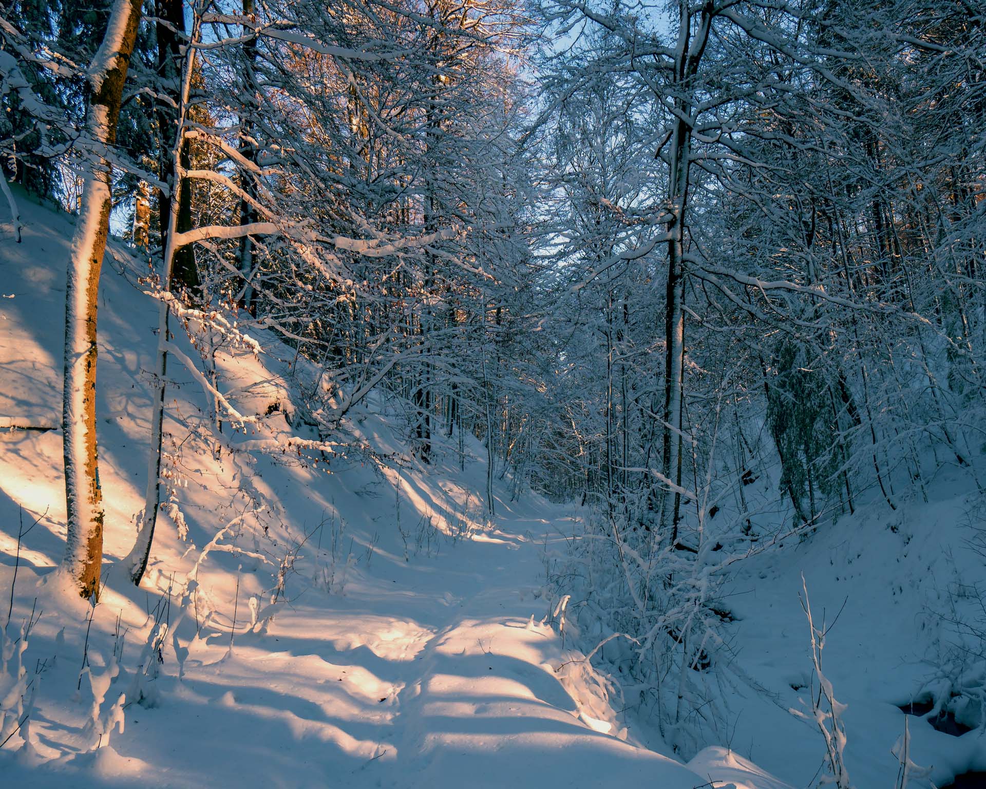 Verschneiter Weg in einem engen Tal an einem sehr kalten frühen Morgen