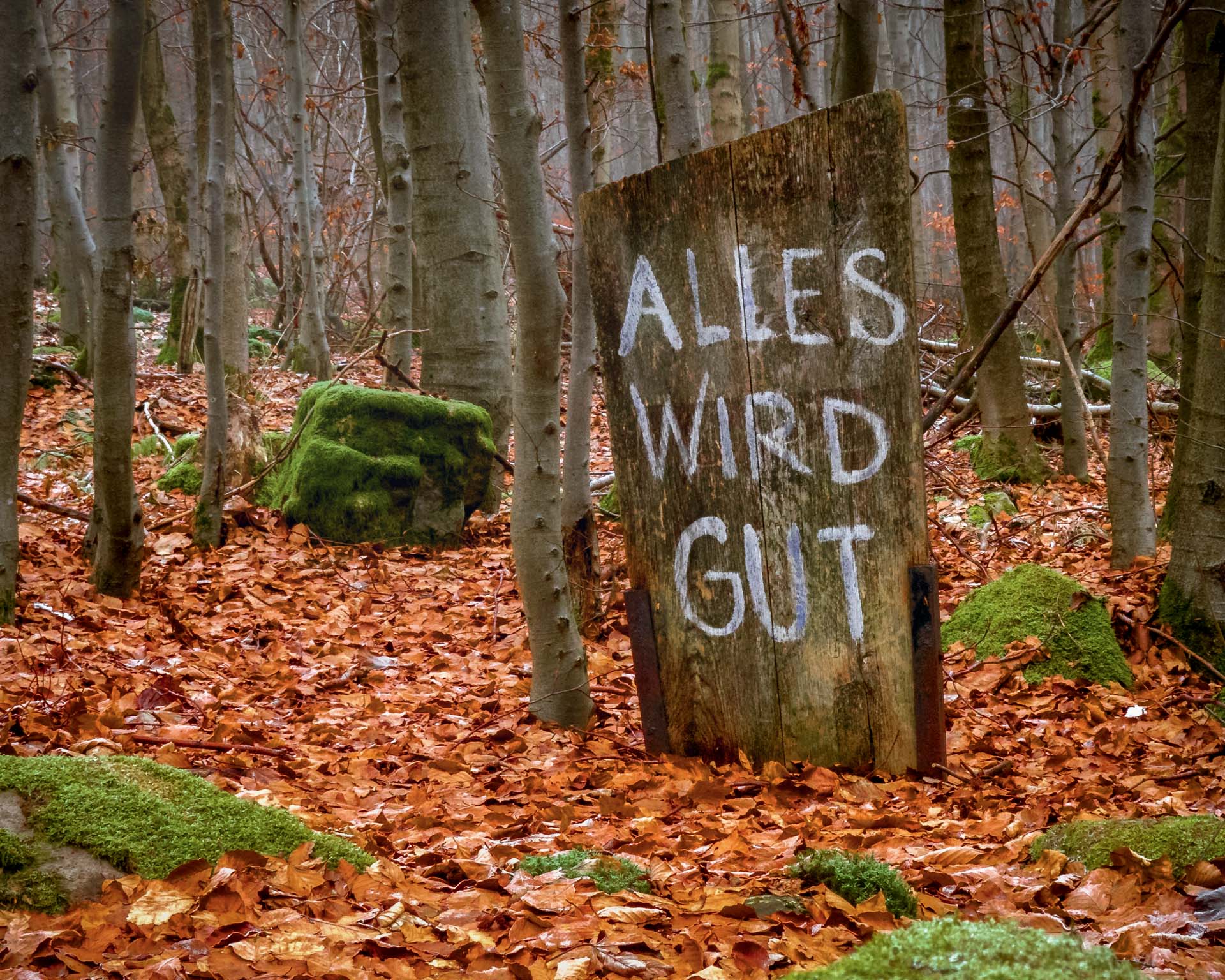 Holzschild mit Aufschrift "Alles wird gut", gesehen im Herbstwald im Vogelsberg