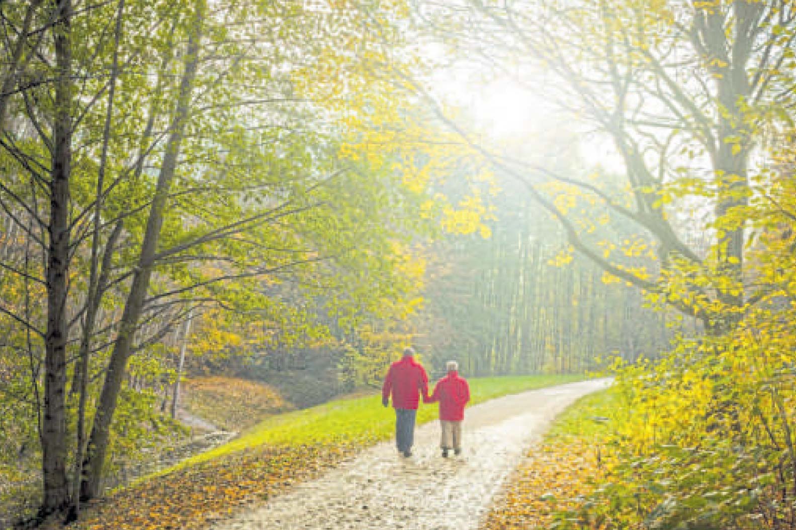 Ein Paar im herbstlichen Wald