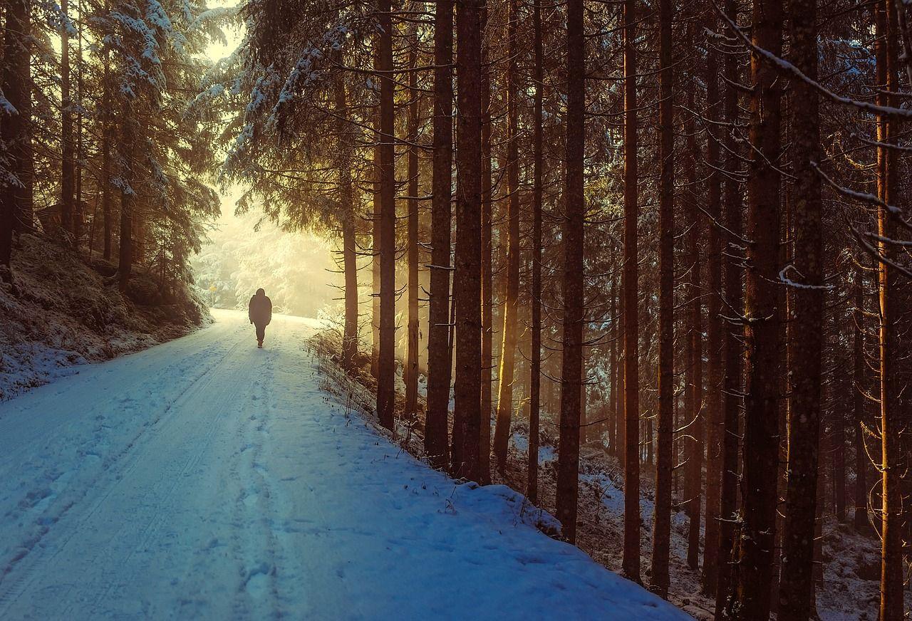 Ein Mensch wandert über einen verschneiten Waldweg einer sonnenbeschienenen Lichtung entgegen